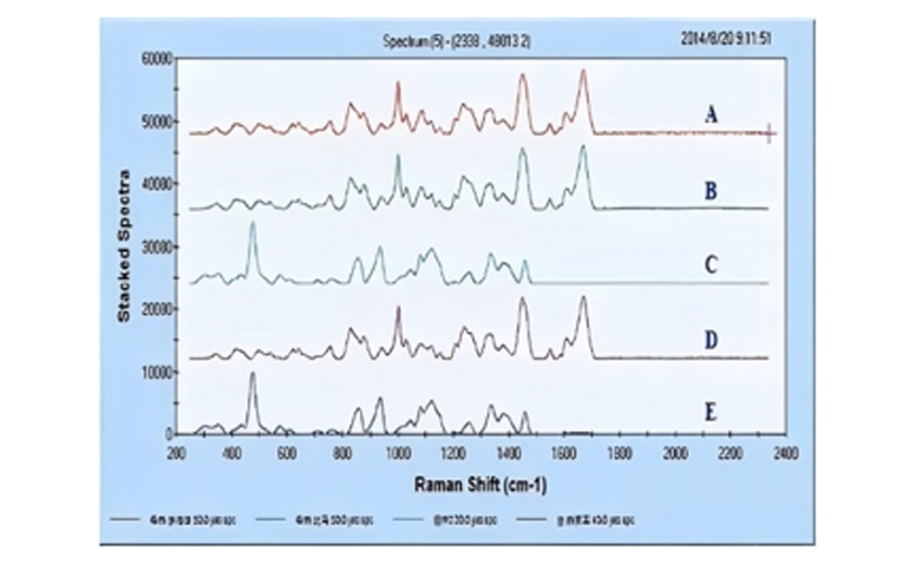 High-throughput analysis and testing platform