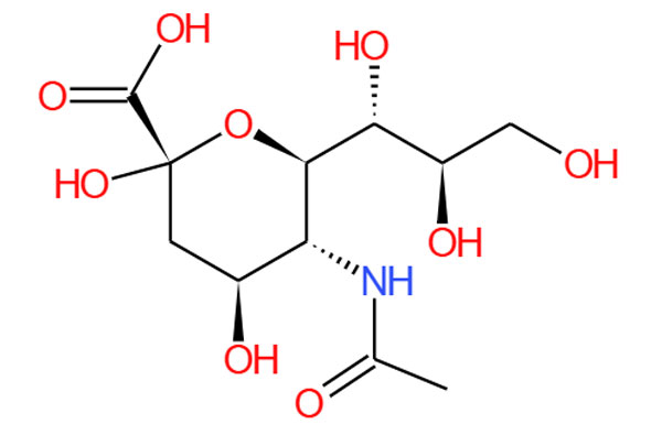 N-Acetylneuraminic Acid