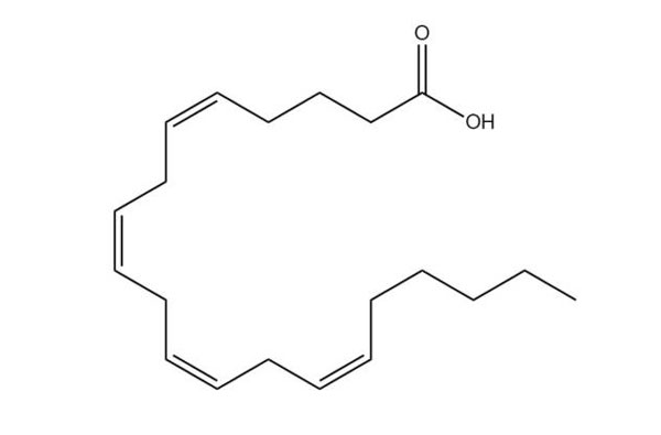 Arachidonic Acid