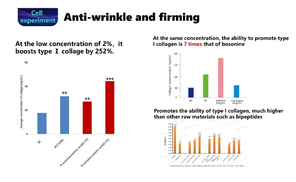 Sialic Acid: Embarking on a New Journey of Skin Anti-aging