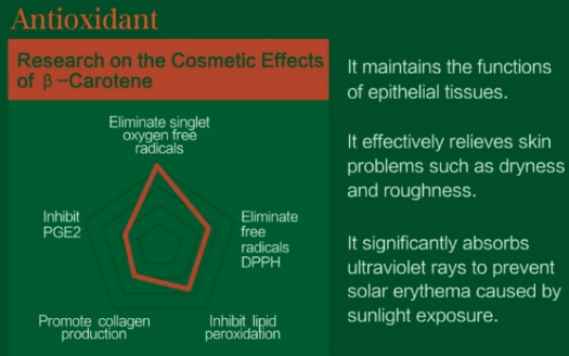 Antioxidant Effects of Natural Beta Carotene Powder