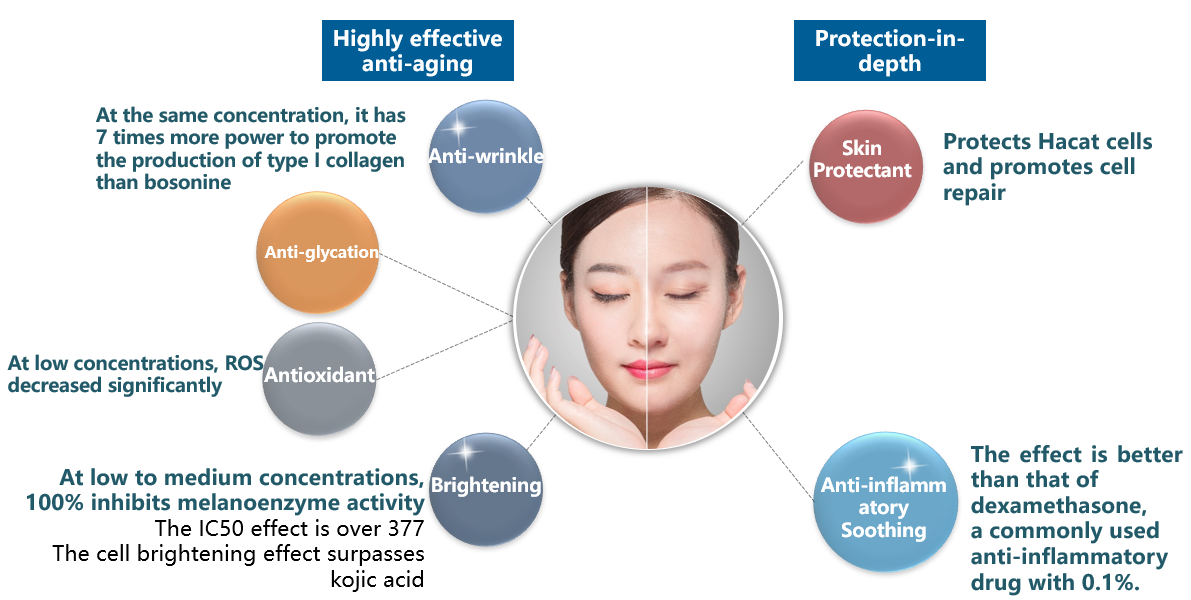 N-Acetylneuraminic Acid in Delaying Aging